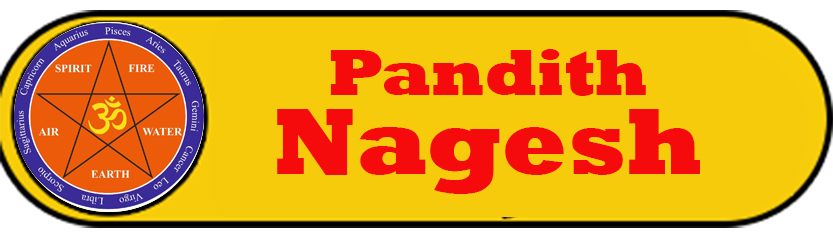 image-logo
